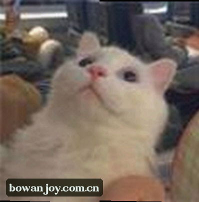 孙莉